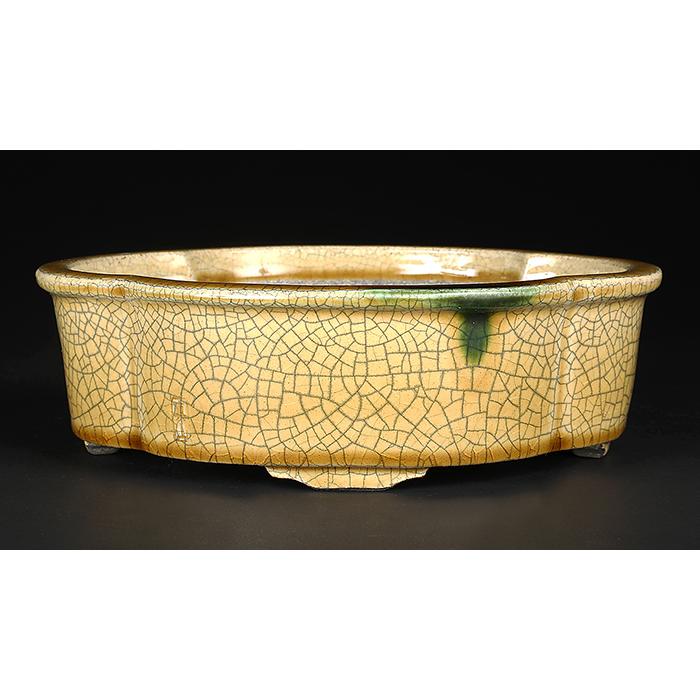 盆栽鉢 真山黄瀬戸釉木瓜式鉢 植木鉢 寺畑陶園 寺畑真山 まざん 瀬戸