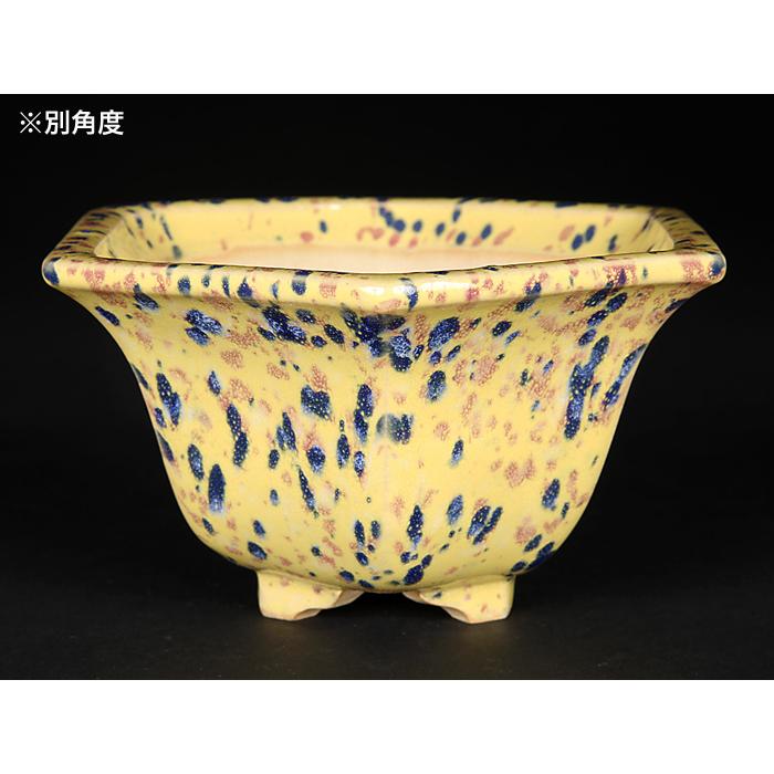 六角　盆栽鉢　黄 六角 盆栽鉢 黄 六角 盆栽鉢 黄 六角 盆栽鉢 黄