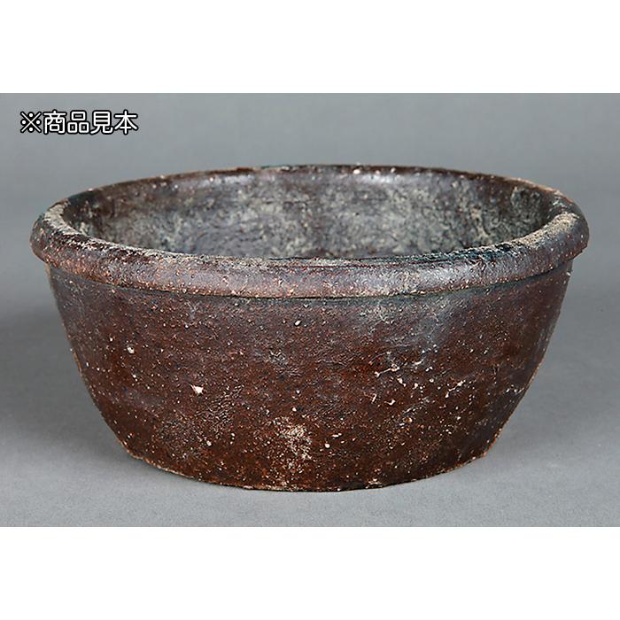 盆栽鉢 飴南蛮丸鉢 大 鉢穴無し ナンバン 本南蛮 5号 15cm 松柏盆栽
