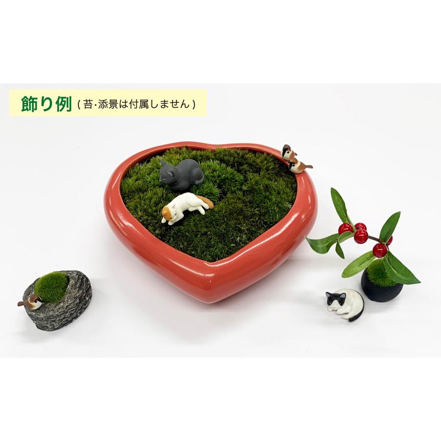 燿山盆栽鉢小品盆栽山野草植木鉢