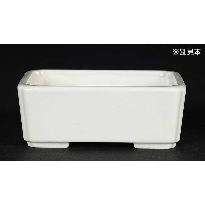 寿悦白釉長方鉢 盆栽鉢 植木鉢 盆器 pot bonsaipot juetsu ジュエツ
