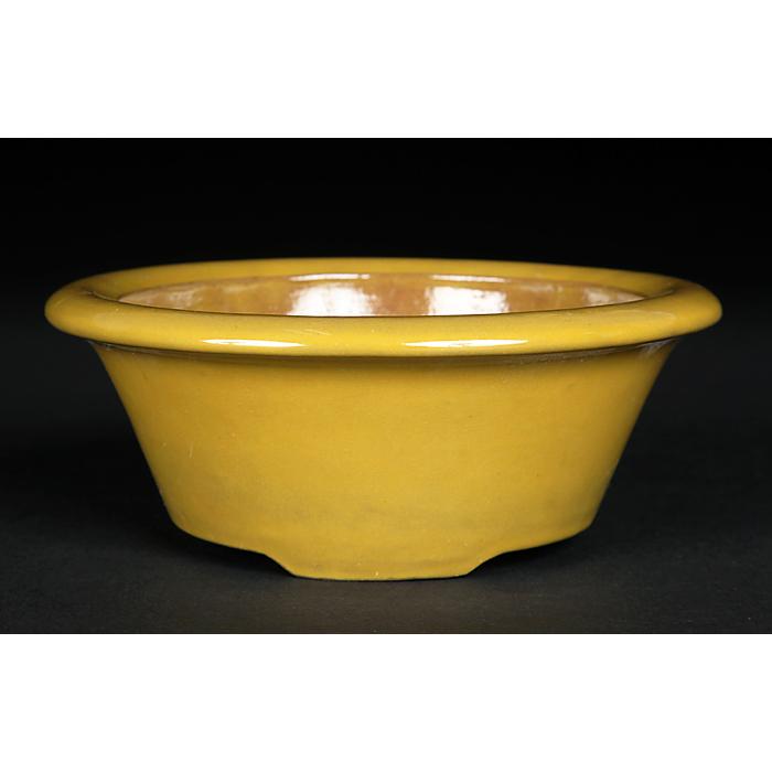 美芸　楕円　黄　盆栽鉢 美芸 楕円 黄 盆栽鉢 美芸 楕円 黄 盆栽鉢 美芸 楕円 盆栽