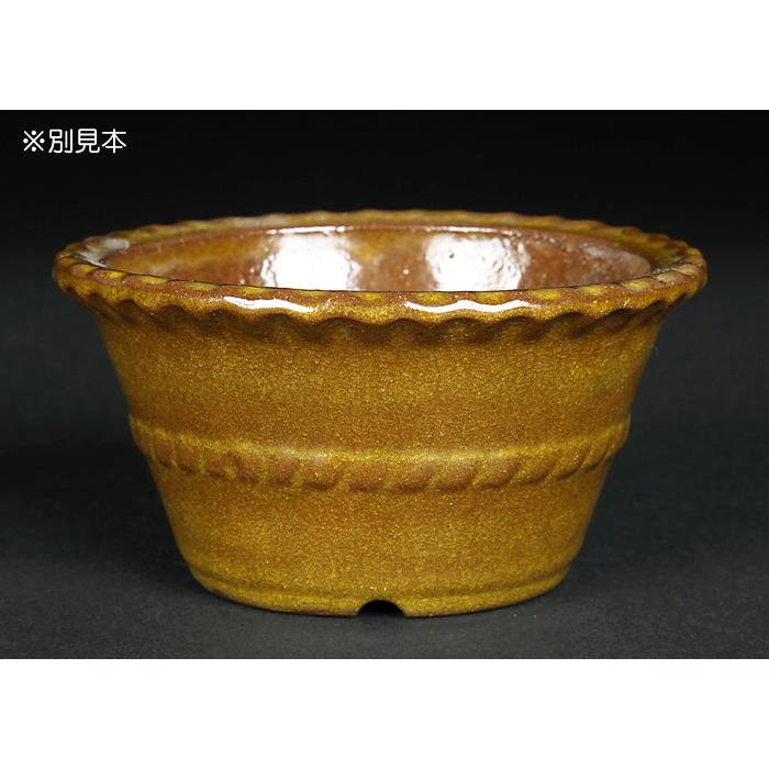 盆栽鉢 色鉢 黄均釉縄縁胴紐丸鉢 陶器 3号 9.5cm イエロー 小品盆栽