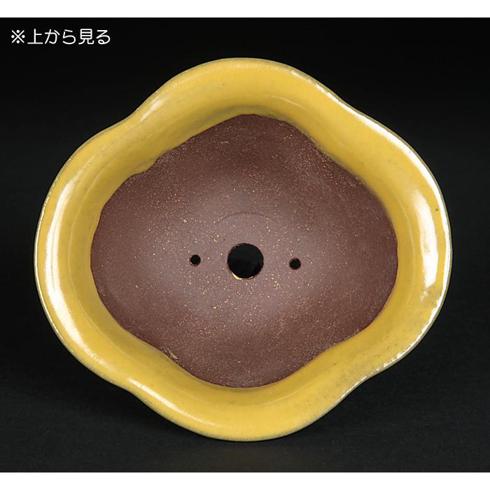 盆栽鉢 色鉢 黄釉外縁木瓜式鉢 陶器 4号 11cm イエロー 小品盆栽 ミニ