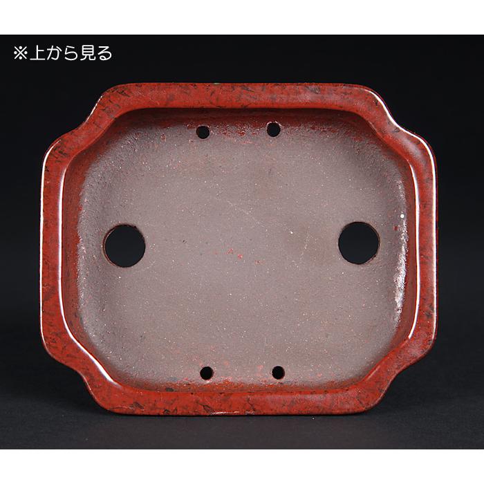 盆栽鉢 色鉢 金簾釉隅入長方鉢 陶器 4号 12cm 赤 ワインレッド 小品