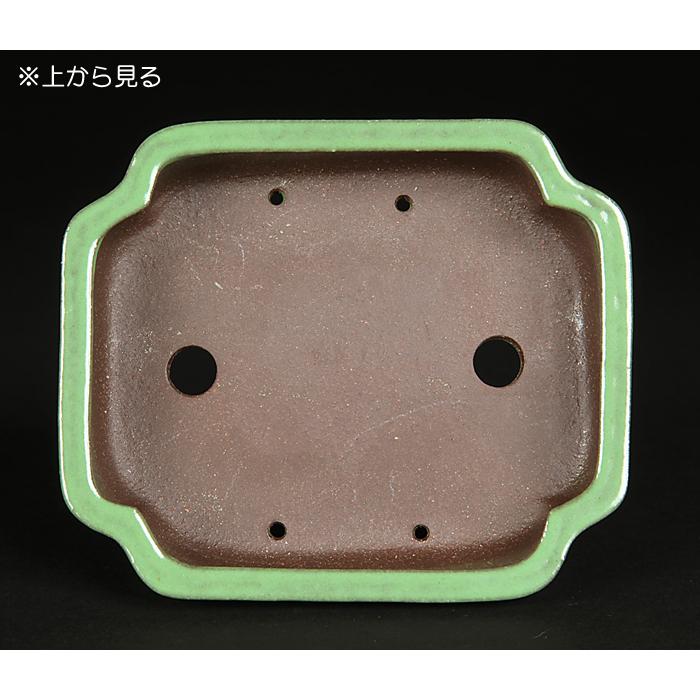 盆栽鉢 色鉢 草均釉隅入長方鉢 陶器 4号 12cm グリーン 小品盆栽 ミニ