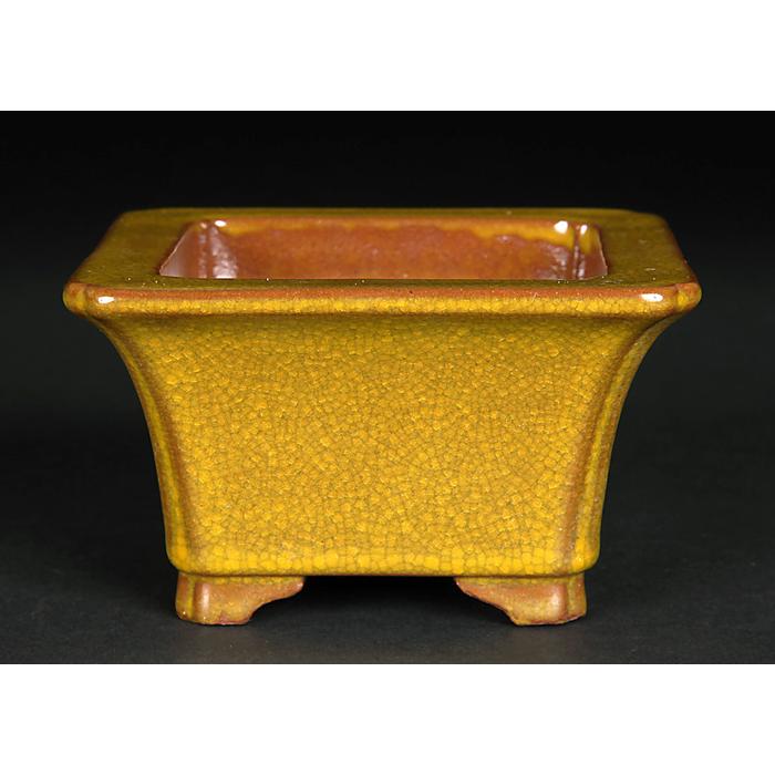 盆栽鉢 色鉢 黄均釉外縁隅入正方鉢 陶器 3号 9cm イエロー 小品盆栽