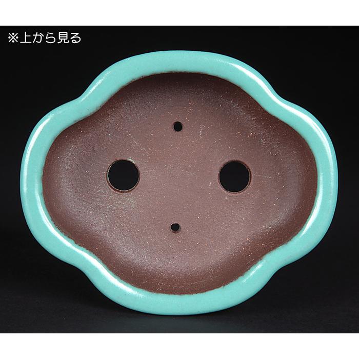 盆栽鉢 色鉢 緑釉隅入正方鉢 陶器 4号 12cm グリーン 小品盆栽