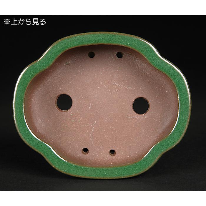 盆栽鉢 色鉢 緑釉木瓜式鉢 陶器 4号 11cm グリーン 小品盆栽 ミニ盆栽