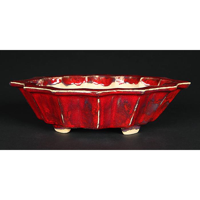 写楽鶏血釉剣木瓜式鉢 盆栽鉢 鉢 植木鉢 日本鉢 bonsaipot しゃらく