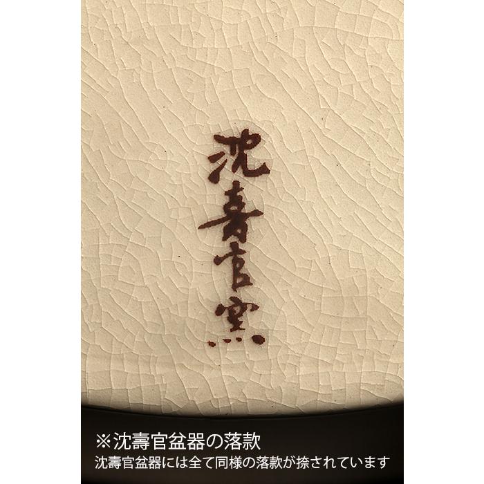 沈壽官窯色絵草花長方鉢 盆栽鉢 鉢 植木鉢 盆器 絵付鉢 薩摩 さつま