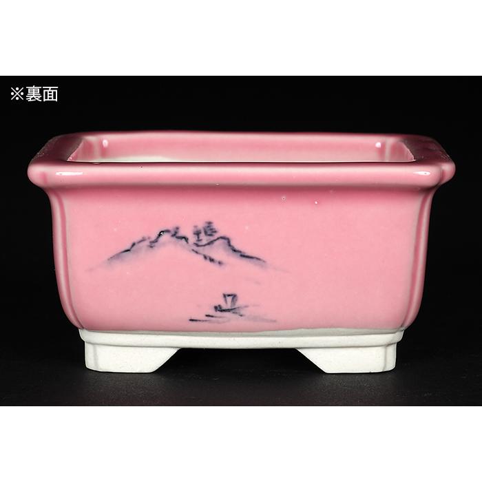 盆栽鉢 植木鉢 瀬戸焼文山窯色絵鉢4点セット・桃 色鉢 絵付鉢 絵 盆栽鉢 植木鉢 瀬戸焼文山窯色絵鉢4点セット・桃 色鉢 絵付鉢 絵