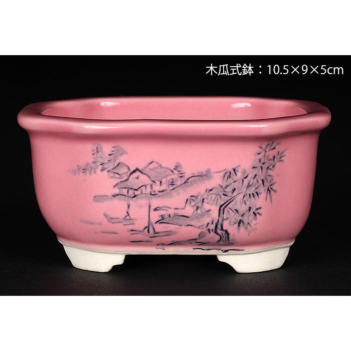 盆栽鉢 植木鉢 瀬戸焼文山窯色絵鉢4点セット・桃 色鉢 絵付鉢 絵鉢