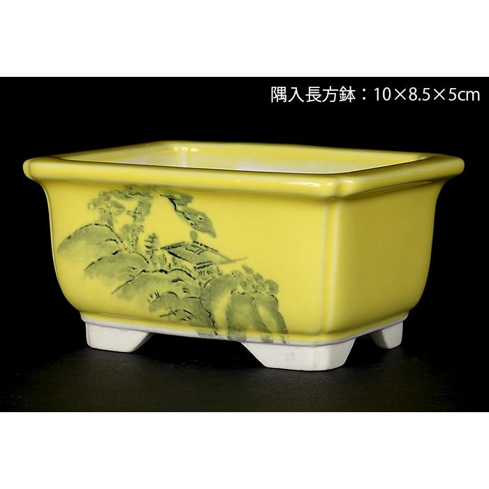 盆栽鉢 植木鉢 瀬戸焼文山窯色絵鉢4点セット・黄 色鉢 絵付鉢 絵鉢