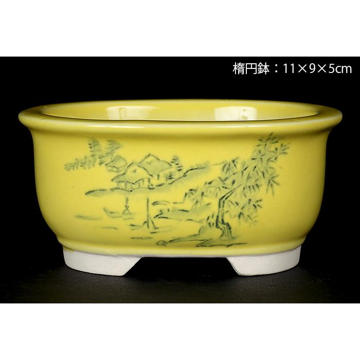 盆栽鉢 植木鉢 瀬戸焼文山窯色絵鉢4点セット・黄 色鉢 絵付鉢 絵鉢
