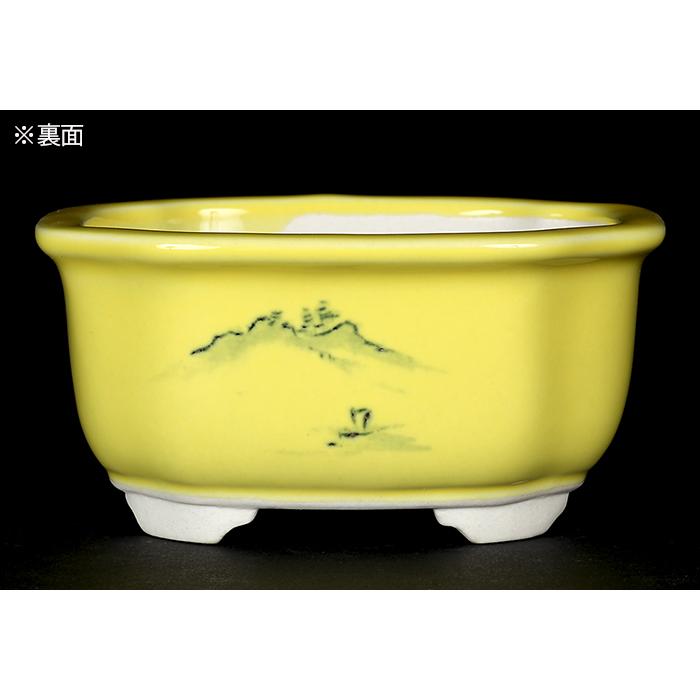 盆栽鉢 植木鉢 瀬戸焼文山窯色絵鉢4点セット・黄 色鉢 絵付鉢 絵鉢