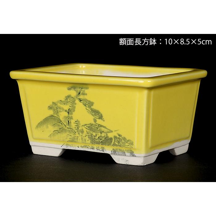 盆栽鉢 植木鉢 瀬戸焼文山窯色絵鉢4点セット・黄 色鉢 絵付鉢 絵鉢
