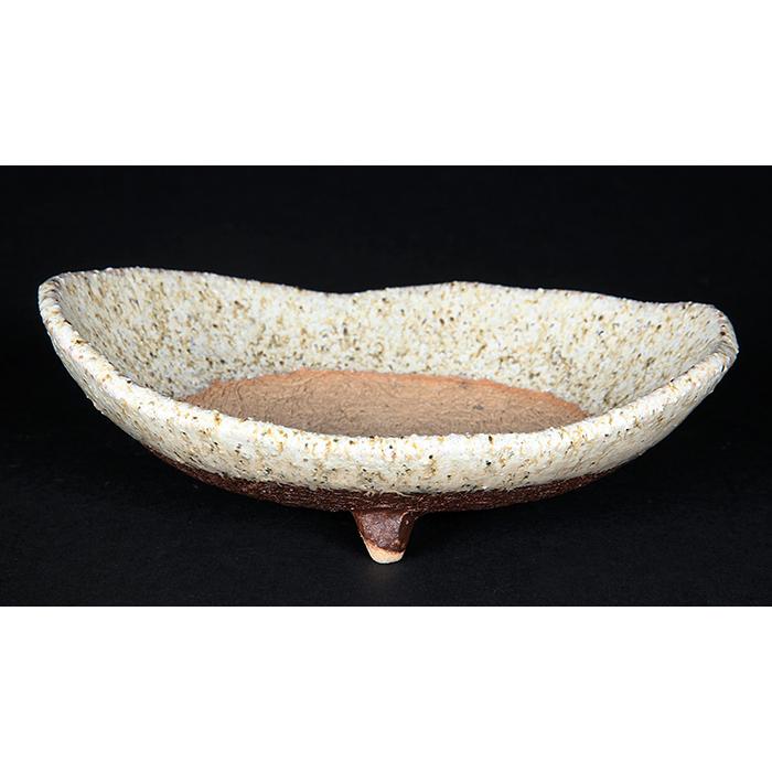 盆栽鉢 山野草鉢 信楽焼鉄砂釉楕円鉢 植木鉢 色鉢 皿型 5号 14cm 白 