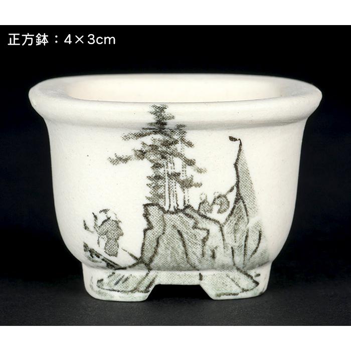 盆栽鉢 植木鉢 「瀬戸焼文山窯絵付小鉢12点セット」 絵鉢 絵付鉢 白