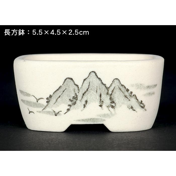盆栽鉢 植木鉢 「瀬戸焼文山窯絵付小鉢12点セット」 絵鉢 絵付鉢 白