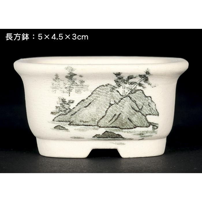 盆栽鉢 植木鉢 「瀬戸焼文山窯絵付小鉢12点セット」 絵鉢 絵付鉢 白