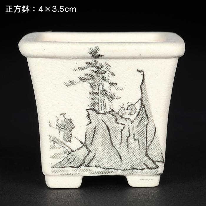 盆栽鉢 植木鉢 「瀬戸焼文山窯絵付小鉢12点セット」 絵鉢 絵付鉢 白