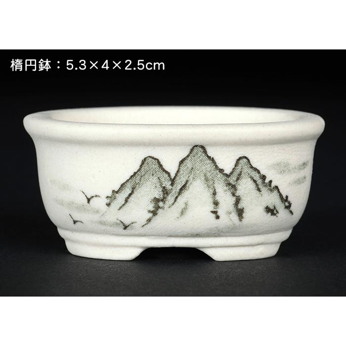 盆栽鉢 植木鉢 「瀬戸焼文山窯絵付小鉢12点セット」 絵鉢 絵付鉢 白