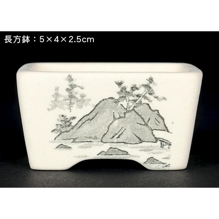 盆栽鉢 植木鉢 「瀬戸焼文山窯絵付小鉢12点セット」 絵鉢 絵付鉢 白