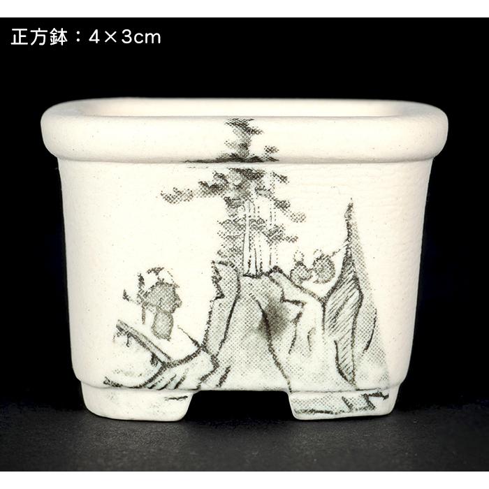 盆栽鉢 植木鉢 「瀬戸焼文山窯絵付小鉢12点セット」 絵鉢 絵付鉢 白