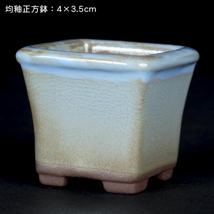 盆栽鉢 「瀬戸焼文山窯色小鉢12点セット」 植木鉢 色鉢 可愛い お洒落