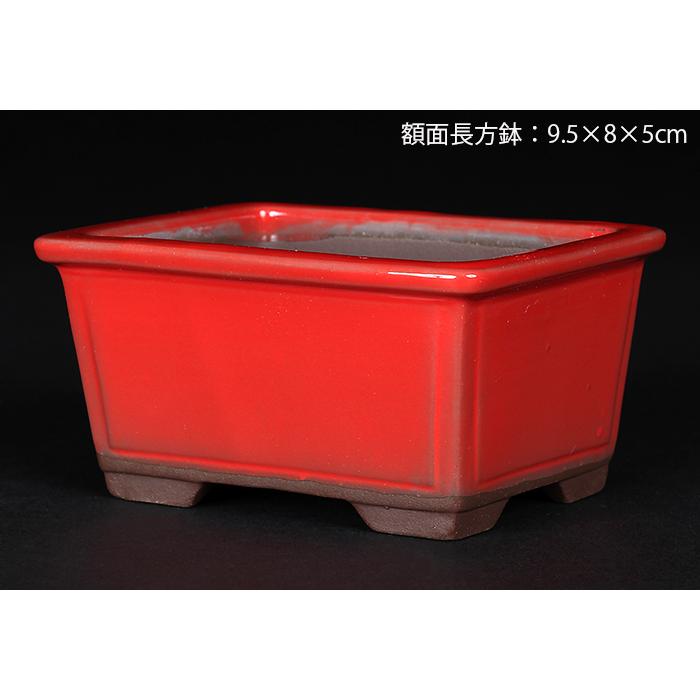 盆栽鉢 植木鉢 「瀬戸焼文山窯赤釉小鉢4点セット」 色鉢 3号 9cm