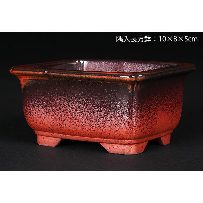 盆栽鉢 植木鉢 「瀬戸焼文山窯赤釉窯変小鉢4点セット」 色鉢 3号