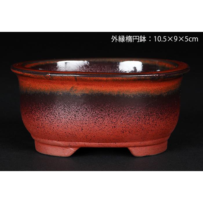 盆栽鉢 植木鉢 「瀬戸焼文山窯赤釉窯変小鉢4点セット」 色鉢 レッド