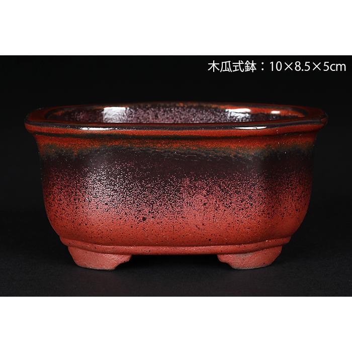 盆栽鉢 植木鉢 「瀬戸焼文山窯赤釉窯変小鉢4点セット」 色鉢 レッド