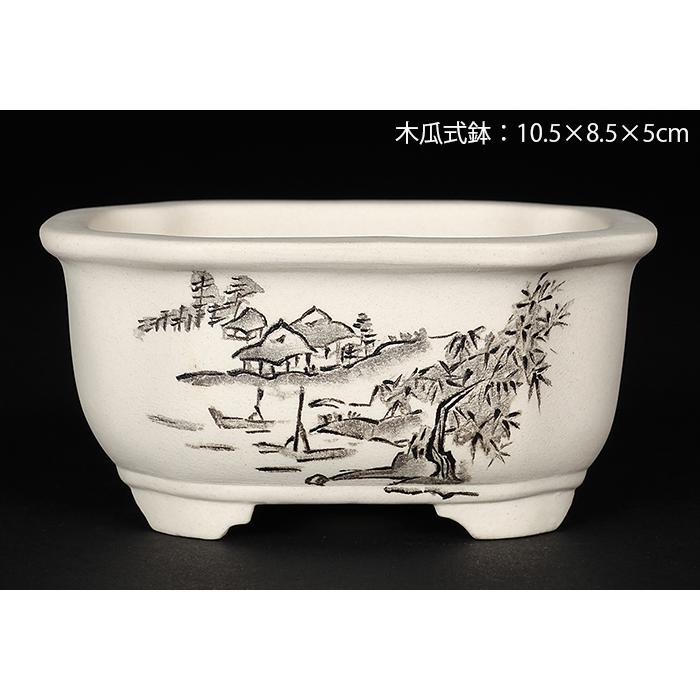 盆栽鉢 植木鉢 「瀬戸焼文山窯絵付鉢4点セット」 絵鉢 絵付鉢 白