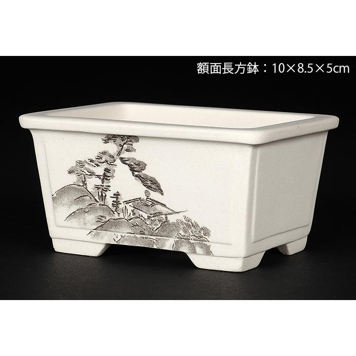 盆栽鉢 植木鉢 「瀬戸焼文山窯絵付鉢4点セット」 絵鉢 絵付鉢 白