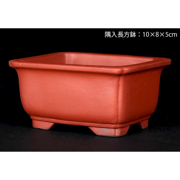 盆栽鉢 植木鉢 瀬戸焼文山窯泥鉢4点セット 泥鉢 焼締 3号 10cm 朱泥 赤