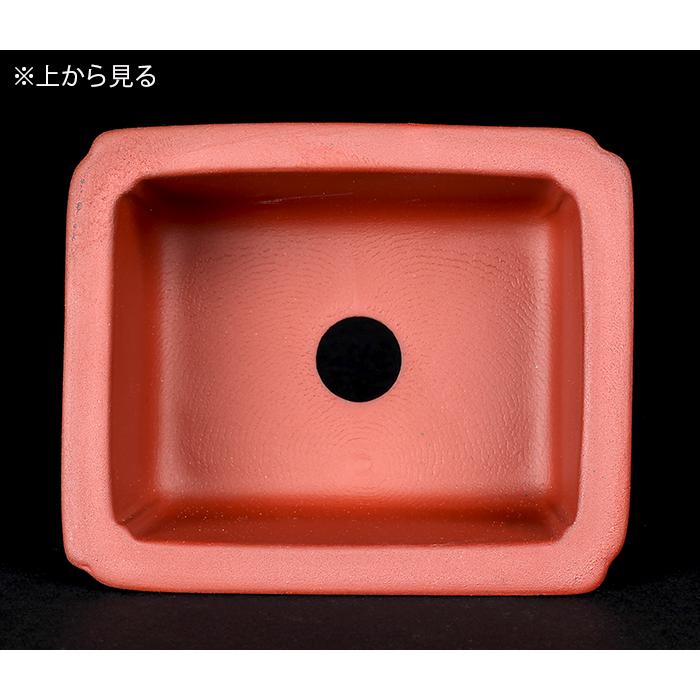 盆栽鉢 植木鉢 瀬戸焼文山窯泥鉢4点セット 泥鉢 焼締 3号 10cm 朱泥 赤