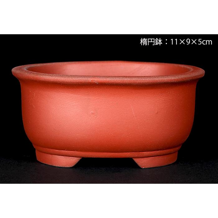 盆栽鉢 植木鉢 瀬戸焼文山窯泥鉢4点セット 泥鉢 焼締 3号 10cm 朱泥 赤