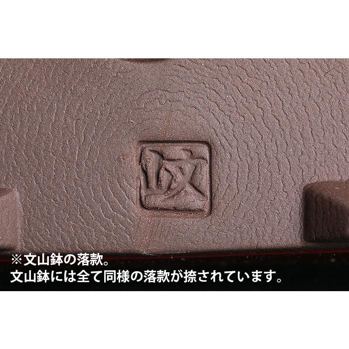 盆栽鉢 植木鉢 瀬戸焼文山窯泥鉢4点セット 泥鉢 焼締 朱泥 赤 レッド