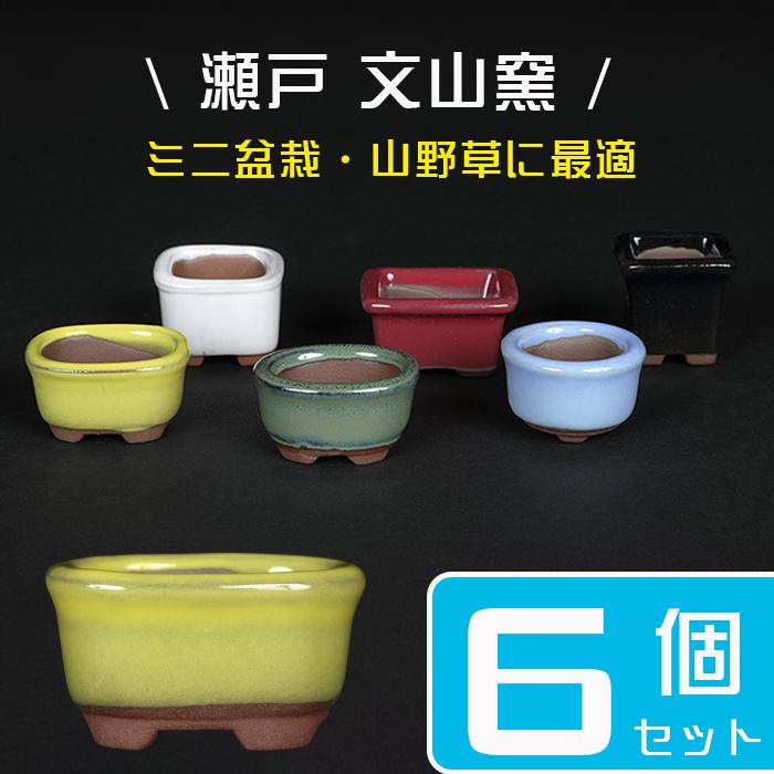 盆栽鉢 「瀬戸焼文山窯色豆鉢6点セット」 植木鉢 色鉢 豆鉢 1号