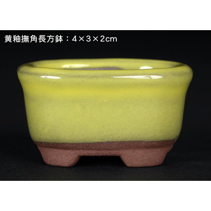 盆栽鉢 ミニ盆栽 鉢 豆盆栽 骨董品 陶芸品 豆盆栽・盆栽鉢・植木鉢・ミニサイズ・13点セット・No.231013-20