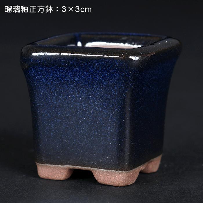 盆栽鉢　時代ミニ盆栽鉢光山4個セット豆鉢名工鉢作家鉢 チャーム（ペット） 盆栽鉢 形状お任せ 山野草豆鉢 山野草