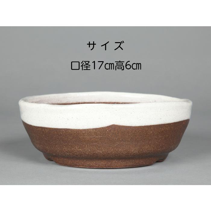 盆栽鉢 山野草鉢 信楽焼ひねり浅白釉丸鉢 6号 18cm 小品盆栽 ミニ盆栽