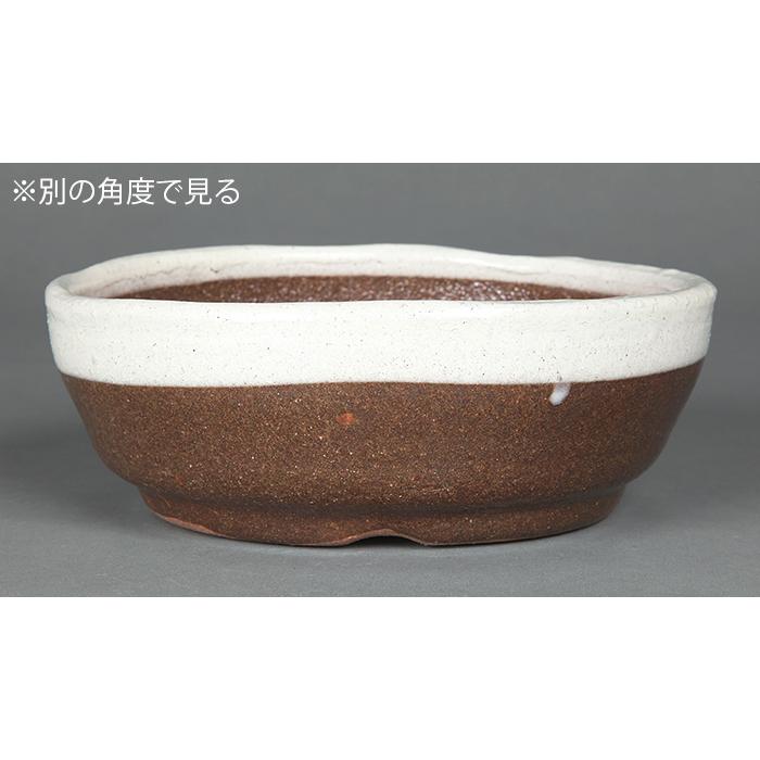 盆栽鉢 山野草鉢 信楽焼ひねり浅白釉丸鉢 6号 18cm 小品盆栽 ミニ盆栽