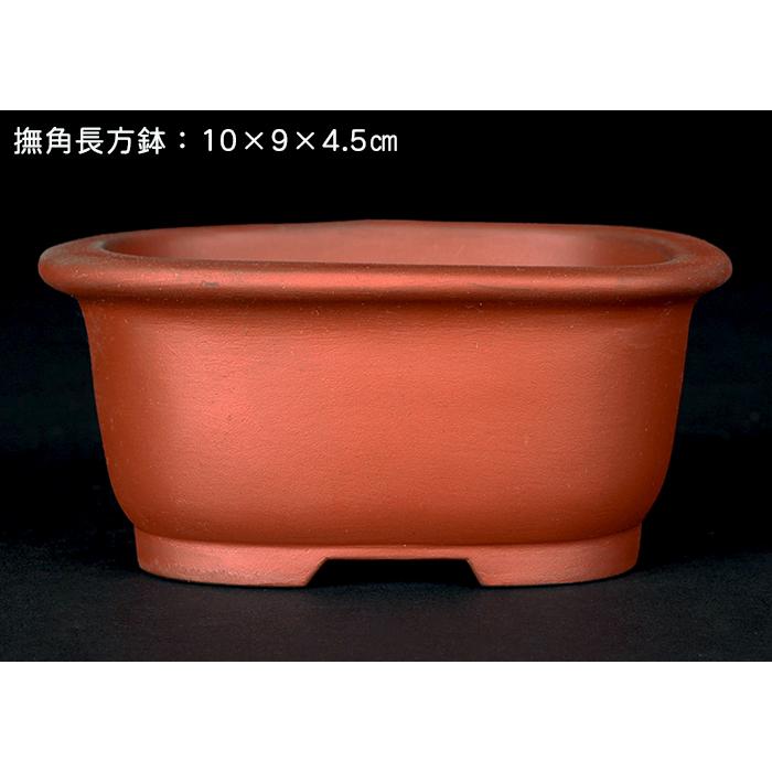 盆栽鉢 「瀬戸焼文山窯朱泥鉢3点セット」 植木鉢 泥鉢 焼締 朱泥 赤
