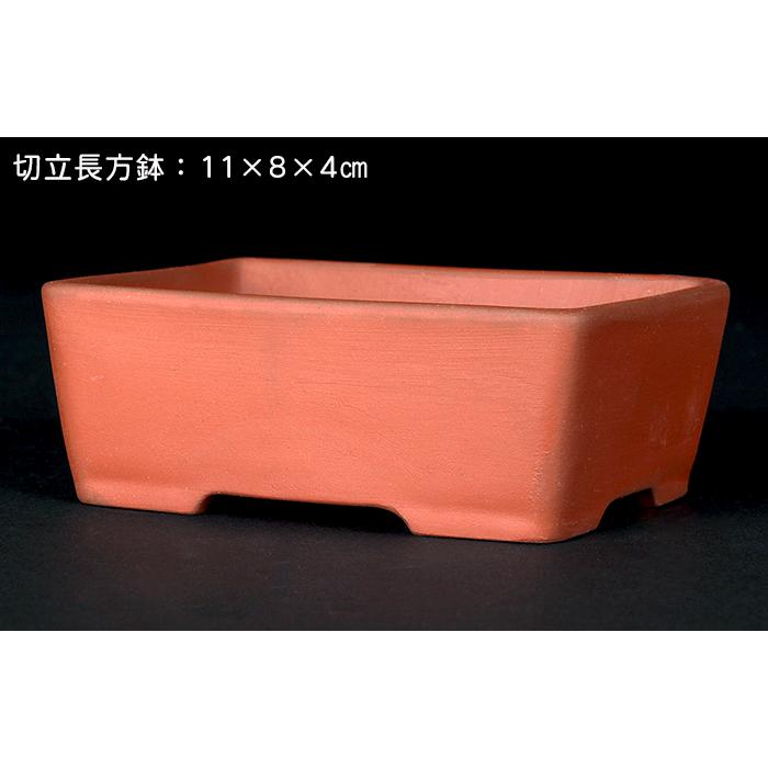 盆栽鉢 「瀬戸焼文山窯朱泥鉢3点セット」 植木鉢 泥鉢 焼締 朱泥 赤