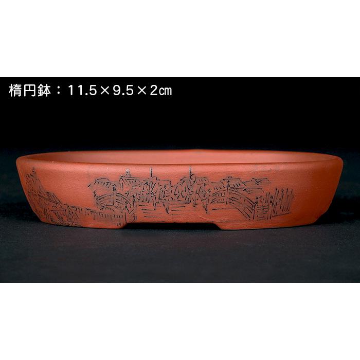 盆栽鉢 「瀬戸焼文山窯朱泥絵付鉢3点セット」 植木鉢 絵鉢 泥鉢 焼締