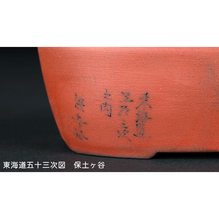 盆栽鉢 「瀬戸焼文山窯朱泥絵付鉢3点セット」 植木鉢 絵鉢 泥鉢 焼締