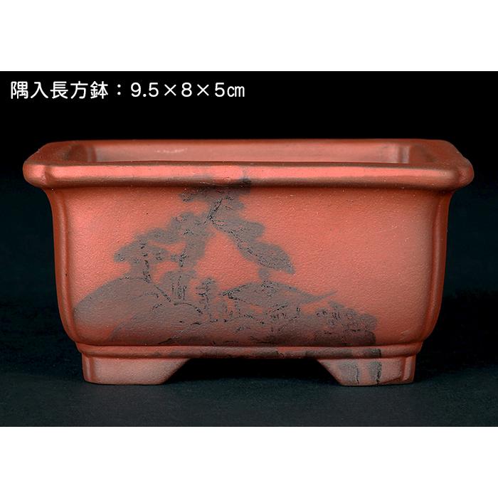 盆栽鉢 「瀬戸焼文山窯朱泥絵付鉢4点セット」 植木鉢 絵鉢 泥鉢 焼締
